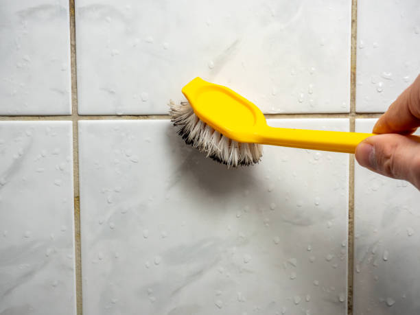 Best Preventive Mold Services in Newtown Grant, PA