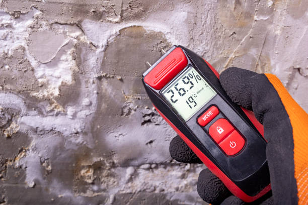 Best Residential Mold Remediation in Newtown Grant, PA